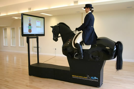 Dressage1.jpg
